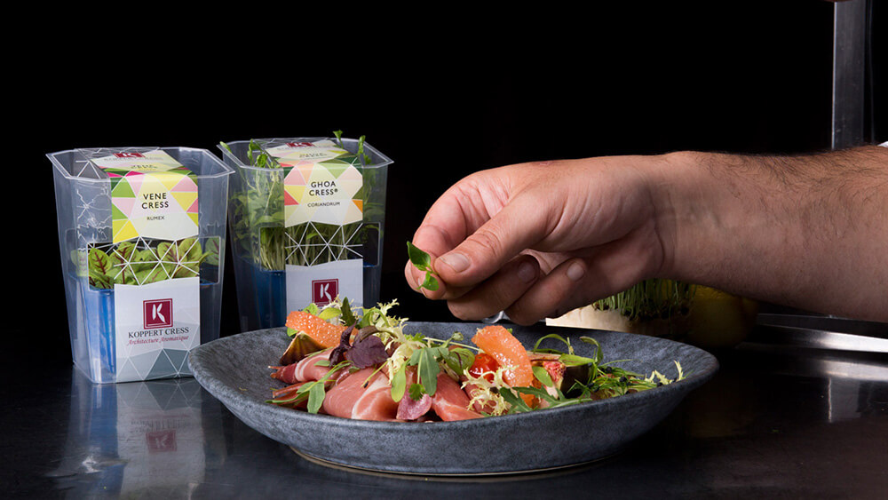 Kwaliteit-voor-food-verpakkingen