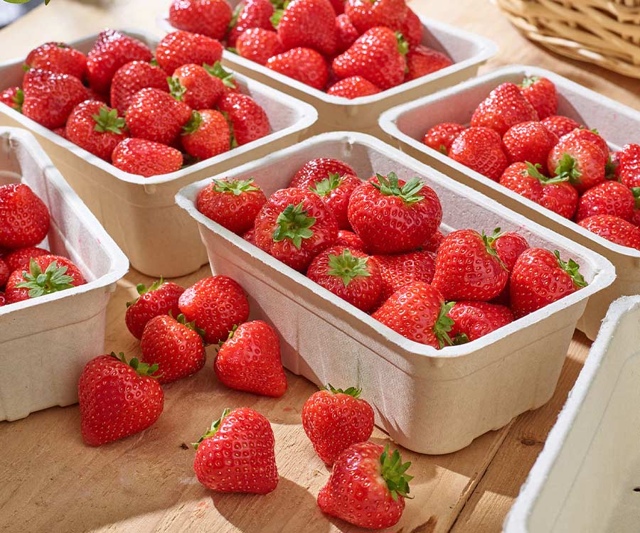 aardbeienbakjes-molded-fiber