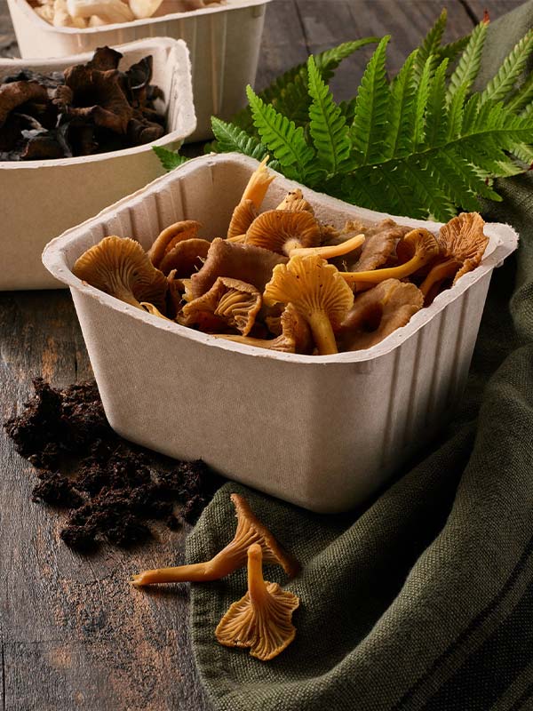 duurzaam-alternatief-molded-fiber