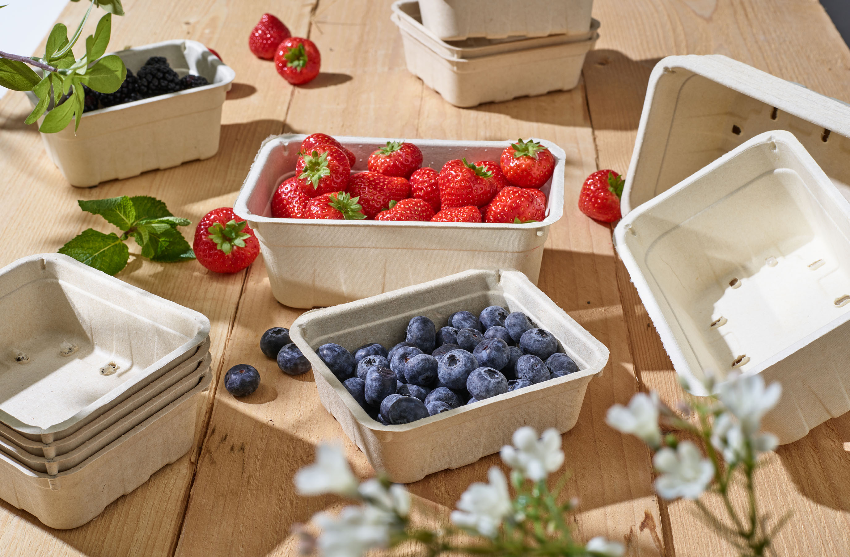 Molded fiber bakjes toepassing zacht fruit